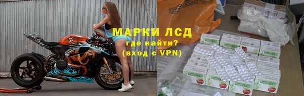 стафф Козельск