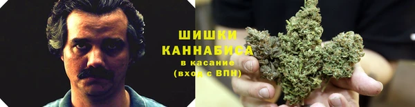 apvp Козловка