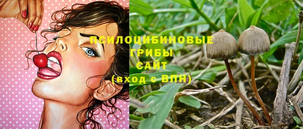 стафф Козельск