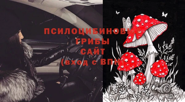 прущая мука Кодинск