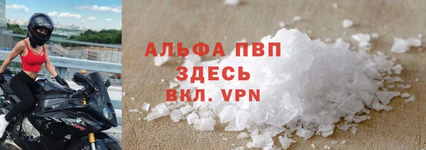 стафф Козельск
